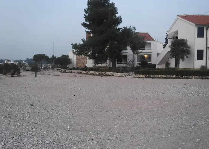 Doris Шибеник